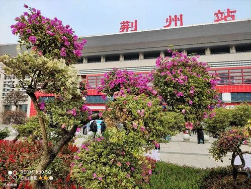 石家庄到荆州物流公司=石家庄到荆州货运专线