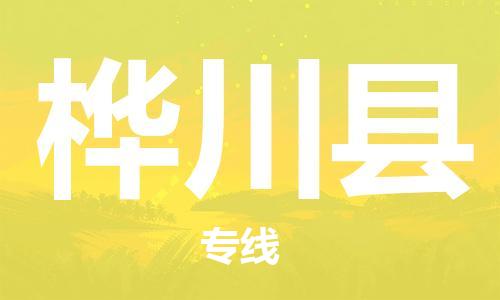 石家庄到桦川县物流公司//石家庄到桦川县物流专线，设备托运，电摩托运