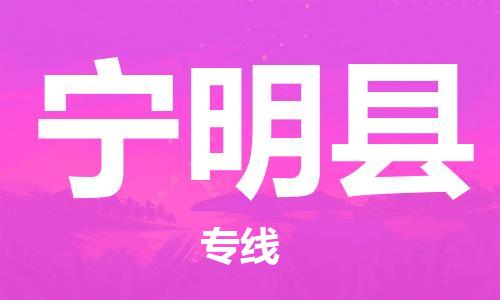 石家庄到宁明县物流公司//石家庄到宁明县物流专线,设备托运,电摩托运 石家庄到宁明县物流公司//石家庄到宁明县物流专线,设备托运,电摩托运