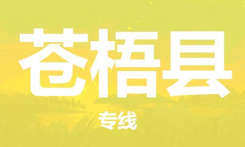 石家庄到苍梧县物流公司//石家庄到苍梧县物流专线，设备托运，电摩托运