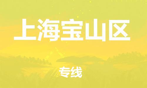 石家庄到上海宝山区物流公司/石家庄到上海宝山区物流专线 石家庄到上海宝山区物流公司/石家庄到上海宝山区物流专线
