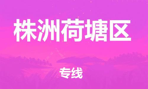 石家庄到株洲荷塘区物流公司//石家庄到株洲荷塘区物流专线，设备托运，电摩托运
